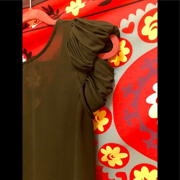 Banana Republic Sheer Blouse - Picture 3 of 8